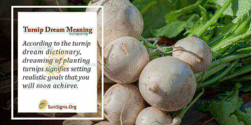 What Does a Turnip Dream Mean? Meaning, Interpretation And Symbolism