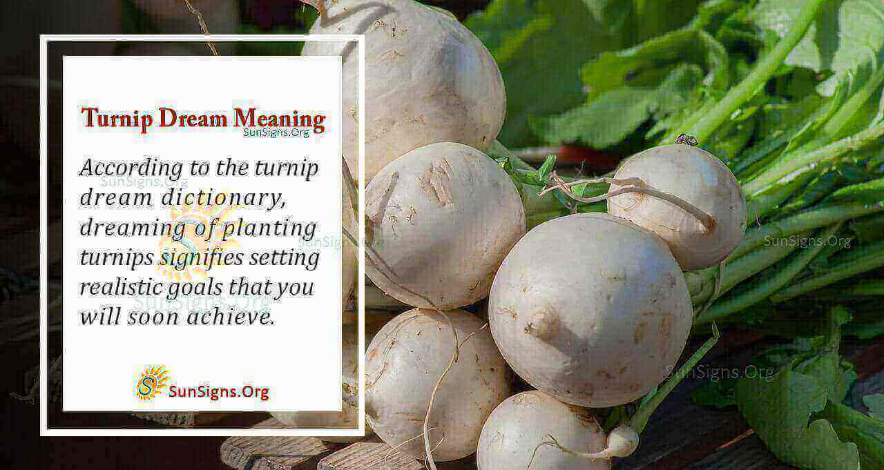 What Does a Turnip Dream Mean? Meaning, Interpretation And Symbolism