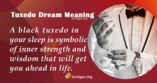 Tuxedo Dream Meaning