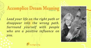 Accomplice Dream Meaning