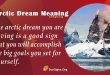 Arctic Dream Meaning