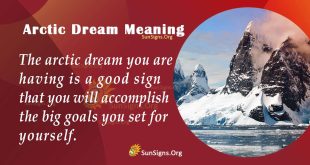Arctic Dream Meaning
