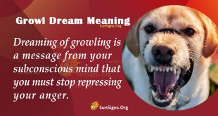 Growl Dream Meaning