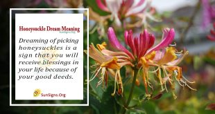 Honeysuckle Dream Meaning