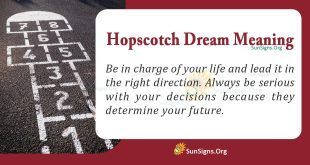 Hopscotch Dream Meaning