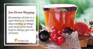 Jam Dream Meaning