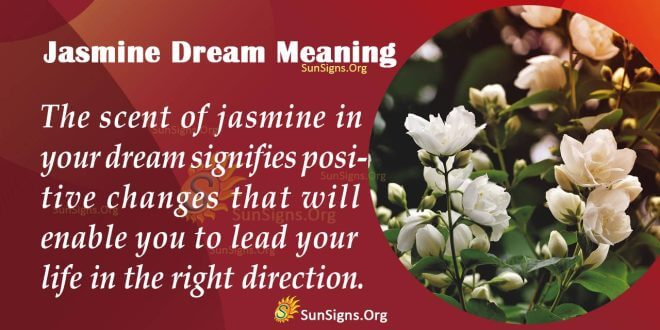 Jasmine Dream Meaning