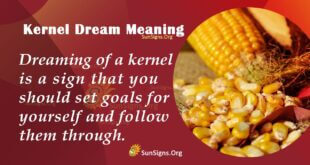 Kernel Dream Meaning