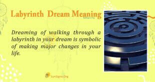 Labyrinth Dream Meaning