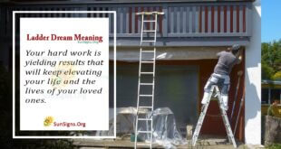 Ladder Dream Meaning