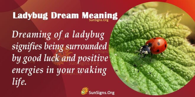 Ladybug Dream Meaning