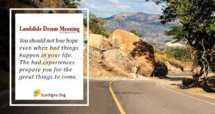 Landslide Dream Meaning