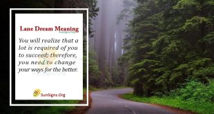 Lane Dream Meaning