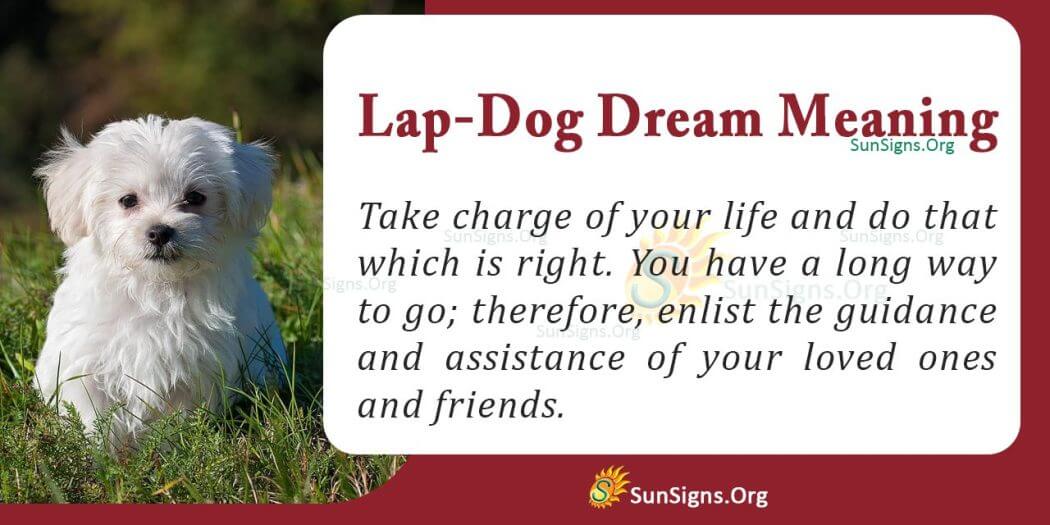 Seeing A Lap Dog In Your Dream Meaning, Interpretation And Symbolism
