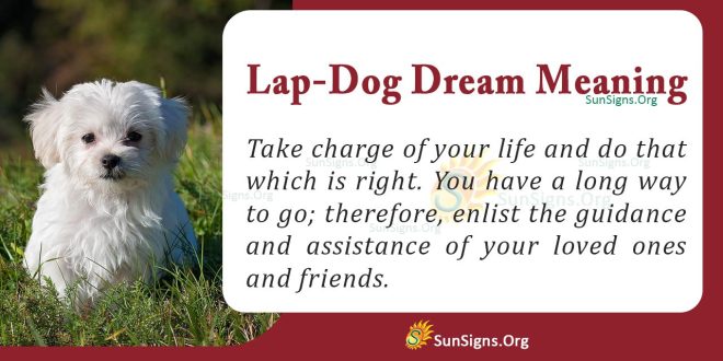 Lap-Dog Dream Meaning