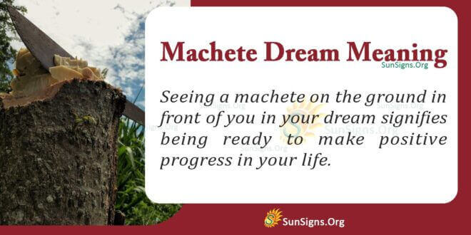 Machete Dream Meaning