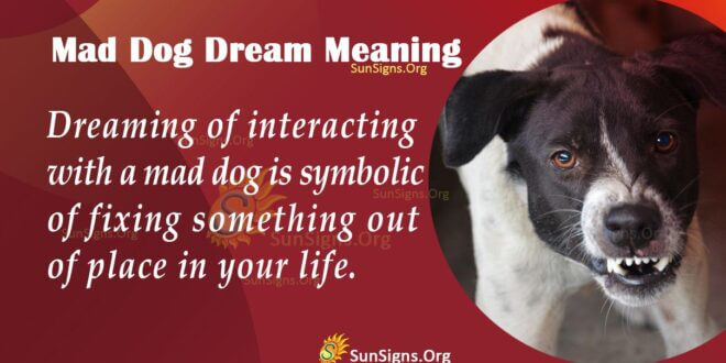 Mad Dog Dream Meaning