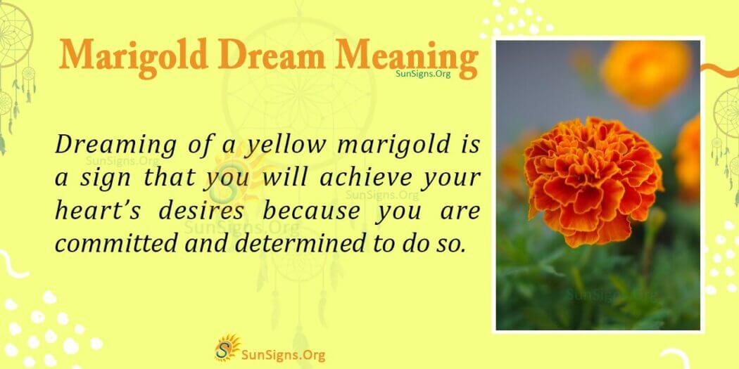 Marigold in Your Dream Meaning, Interpretation and Symbolism