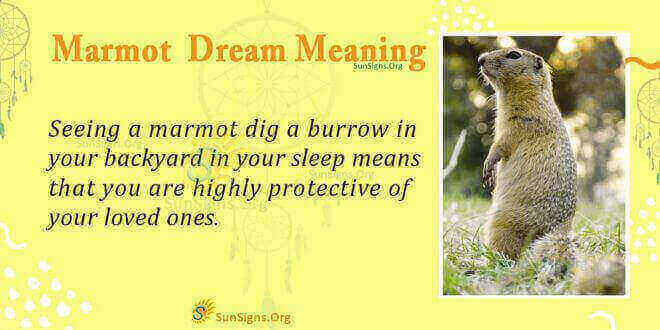 Marmomot Dream Meaning