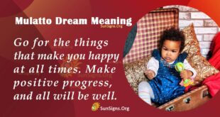 Mulatto Dream Meaning