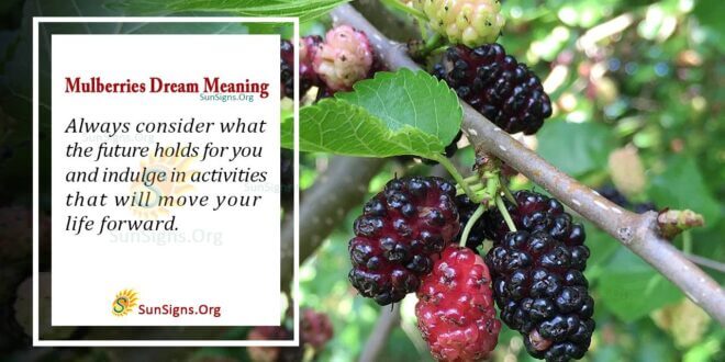 Mulberries Dream Meaning