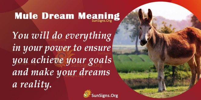 Mule Dream Meaning