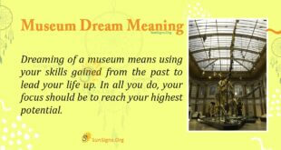 Museum Dream Meaning