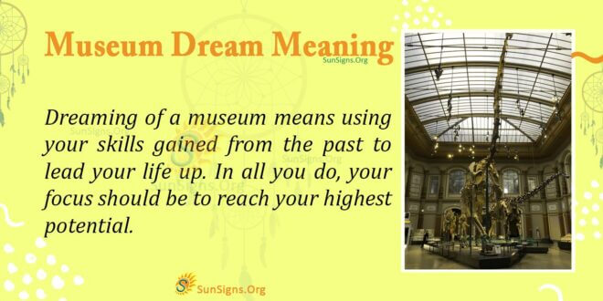 Museum Dream Meaning