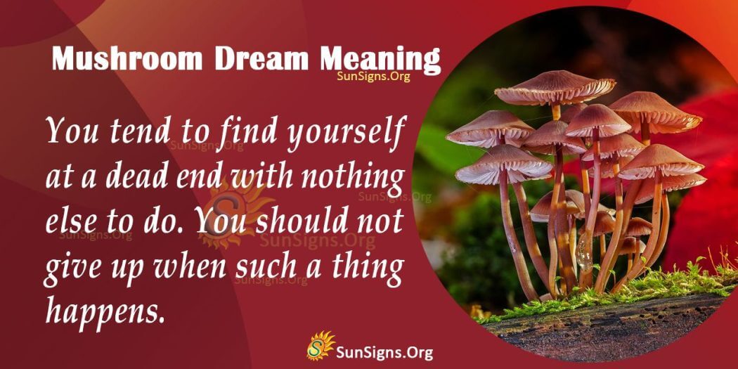Mushroom Dream Meaning, Interpretation and Symbolism