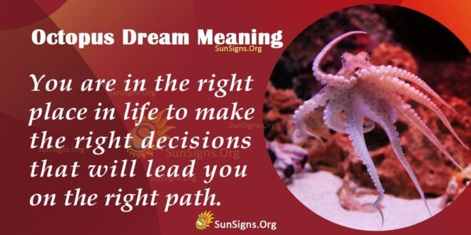 Octopus Dream Meaning