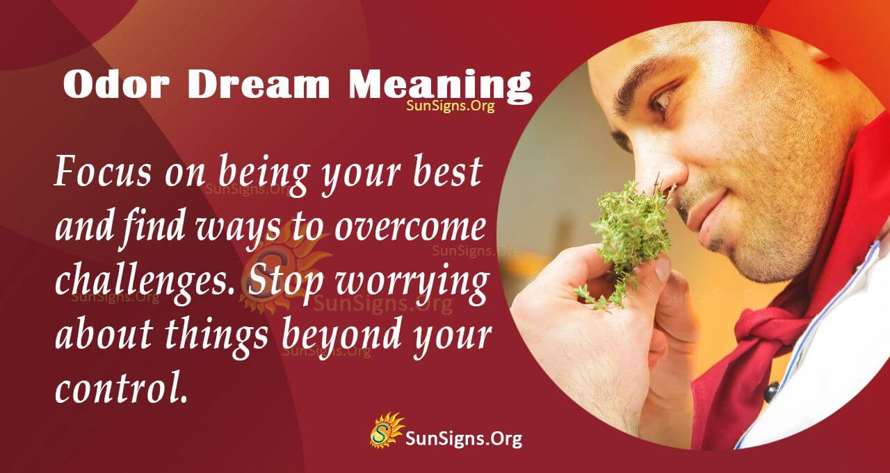 Odor In Your Dream Meaning, Interpretation And Symbolism