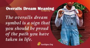 Overalls Dream Meaning