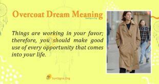 Overcoat Dream Meaning