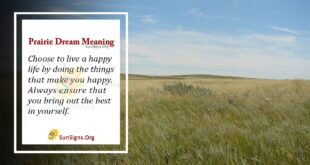 Prairie Dream Meaning