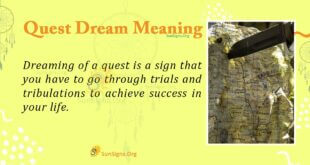 Quest Dream Meaning