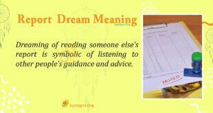 Report Dream Meaning
