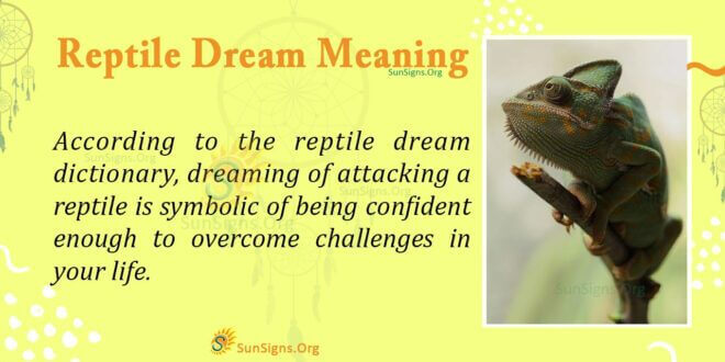 Reptile Dream Meaning