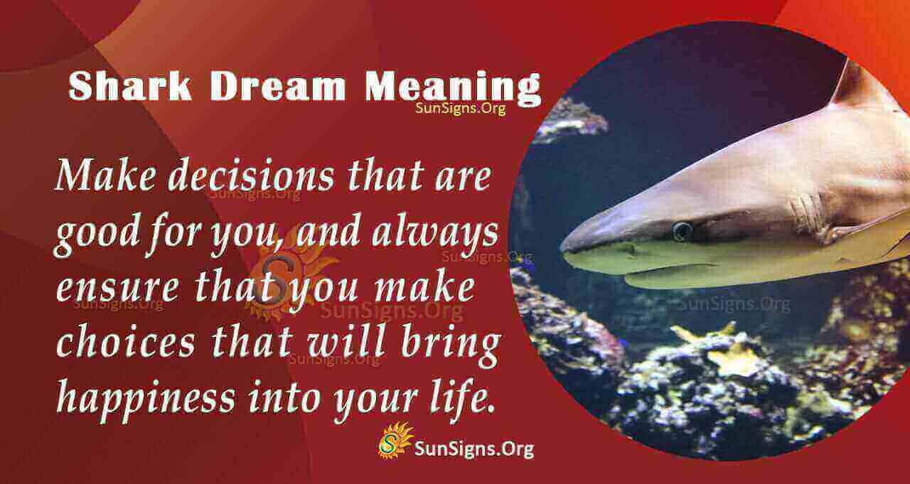 Dreaming Of A Shark Meaning, Interpretation And Symbolism