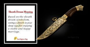 Sheath Dream Meaning