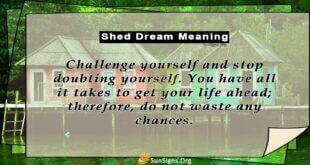 Shed Dream Meaning