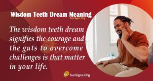 Wisdom Teeth Dream Meaning