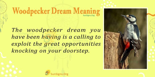 Woodpecker Dream Meaning