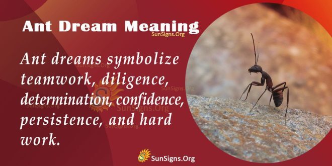 ant dream meaning