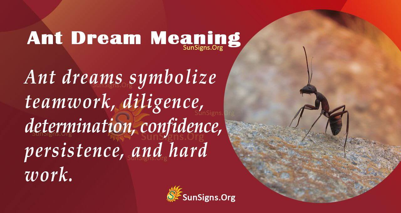 Ants Dream Symbol Meaning, Interpretation and Symbolism