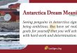 antarctica dream meaning