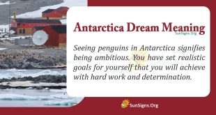 antarctica dream meaning
