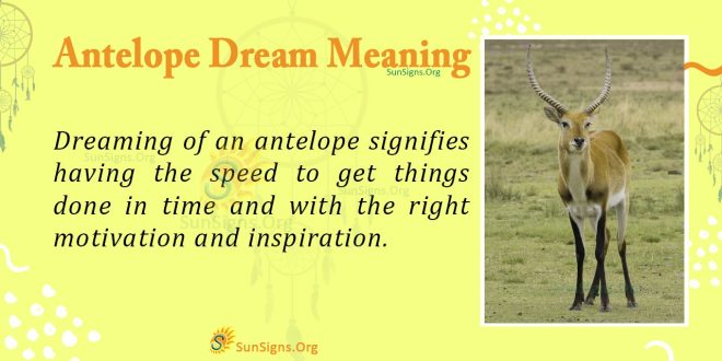antelope dream meaning
