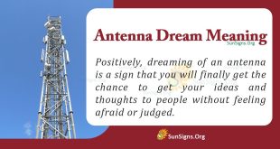antenna dream meaning