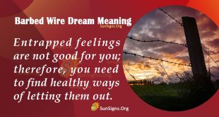 Barbed Wire Dream Meaning