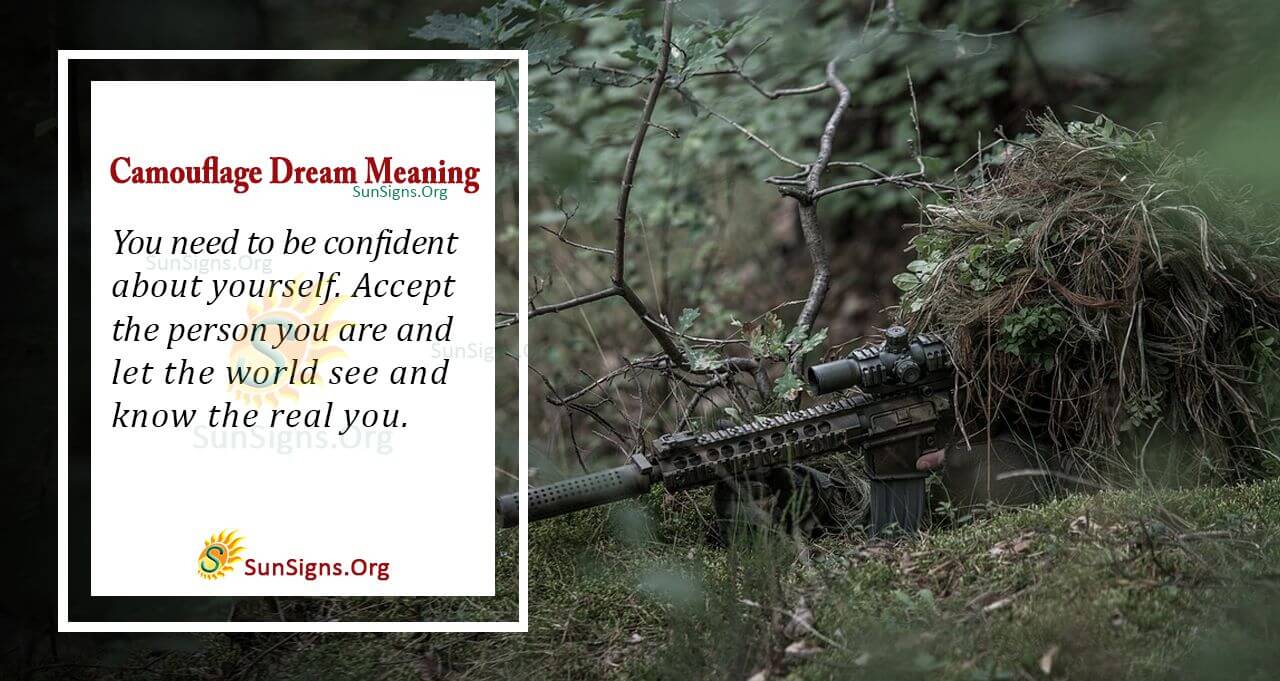 Interpreting A Camouflage Dream Meaning And Symbolism